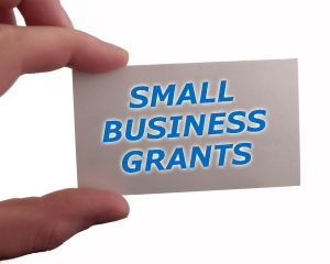 Government Small Business Grants Government Small Business Grants