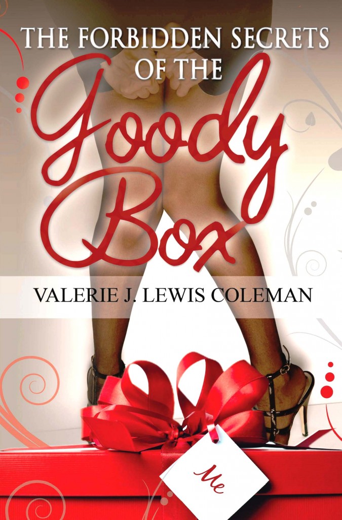 goody box novel cover image